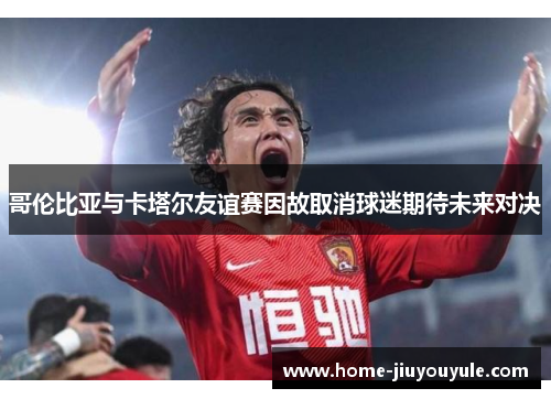哥伦比亚与卡塔尔友谊赛因故取消球迷期待未来对决